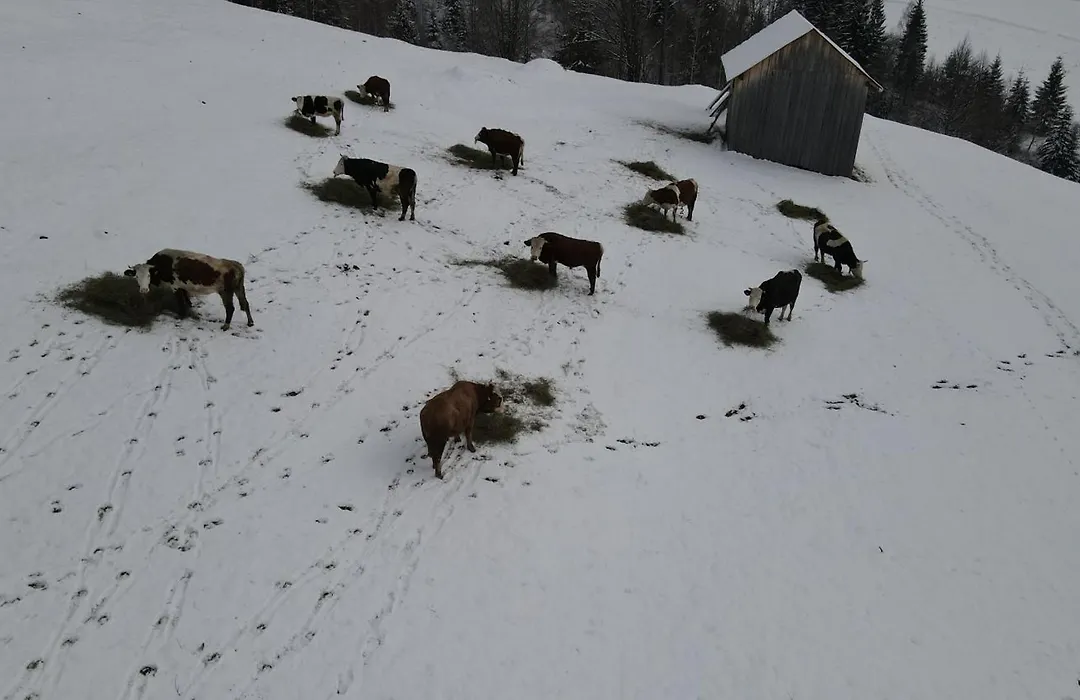 Casa Agroturistica Tarancuta din Vatra Moldovitei-1